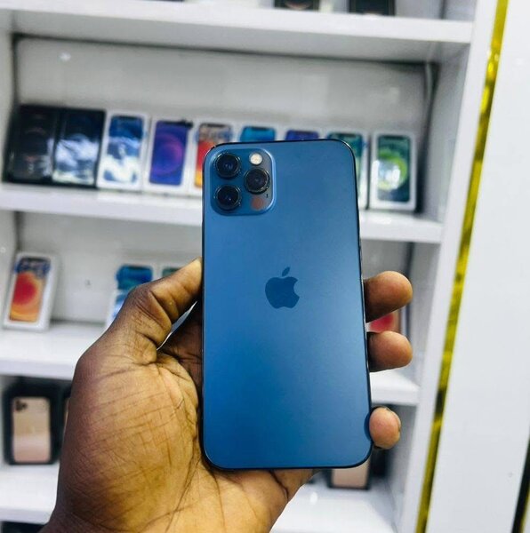 iPhone 12 Pro Bleu