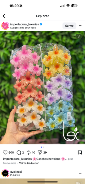 Pinces à cheveux fleuries