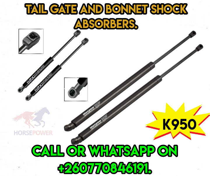 Tail gate and bonnet shock absorbers