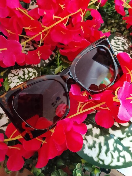 Lunettes de soleil tendance