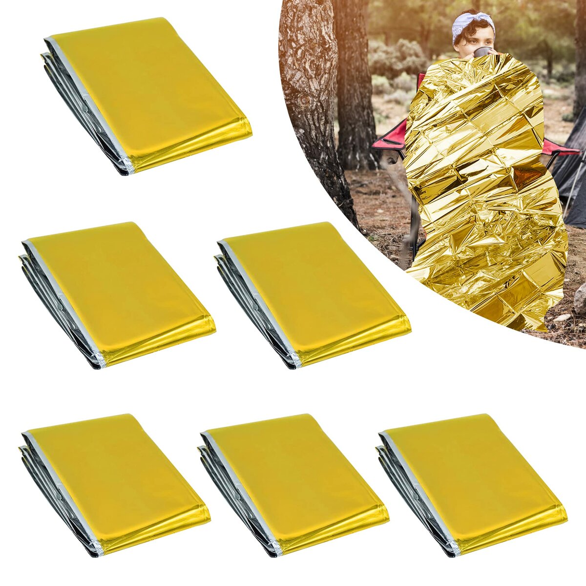 Couverture de Survie Isothermique