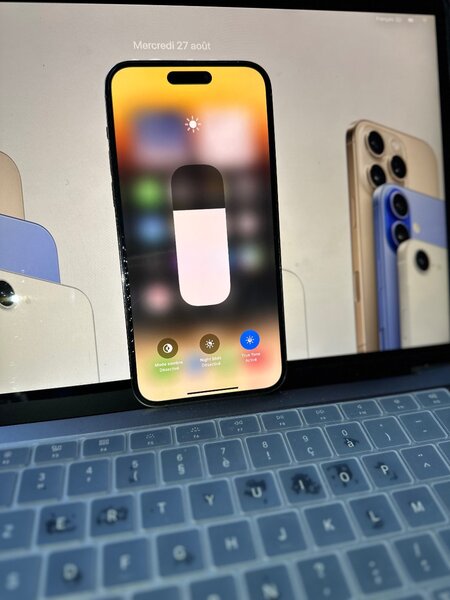 iPhone 14 Pro Max Gold 256Go