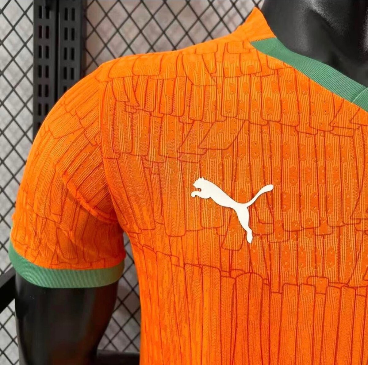 Maillot Côte d'Ivoire Puma