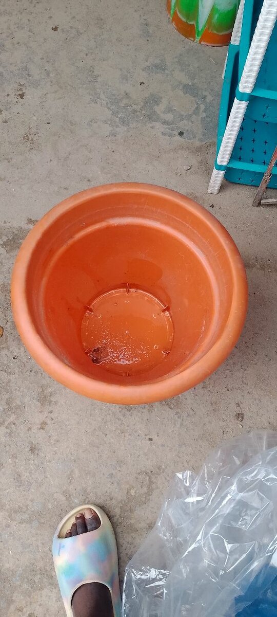 Grand pot de jardin en plastique