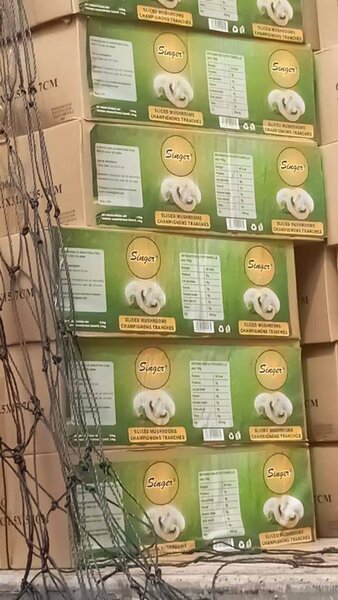 Champignons Tranchés Singer