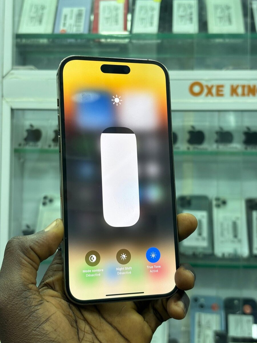 iPhone 13 Pro Max Argent