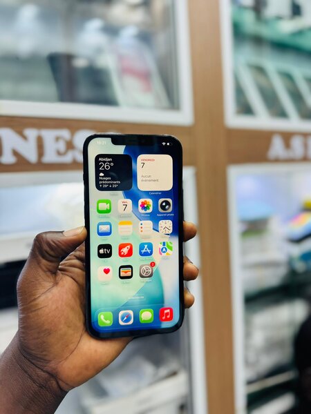 iPhone 12 Pro Max Bleu