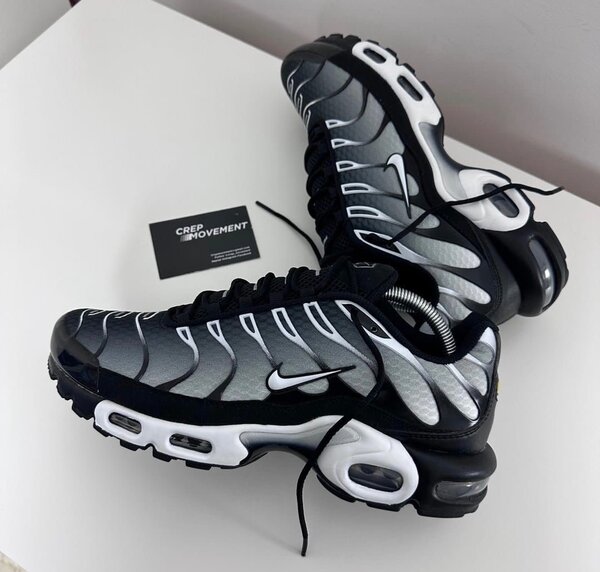 Baskets Nike Air Max Plus