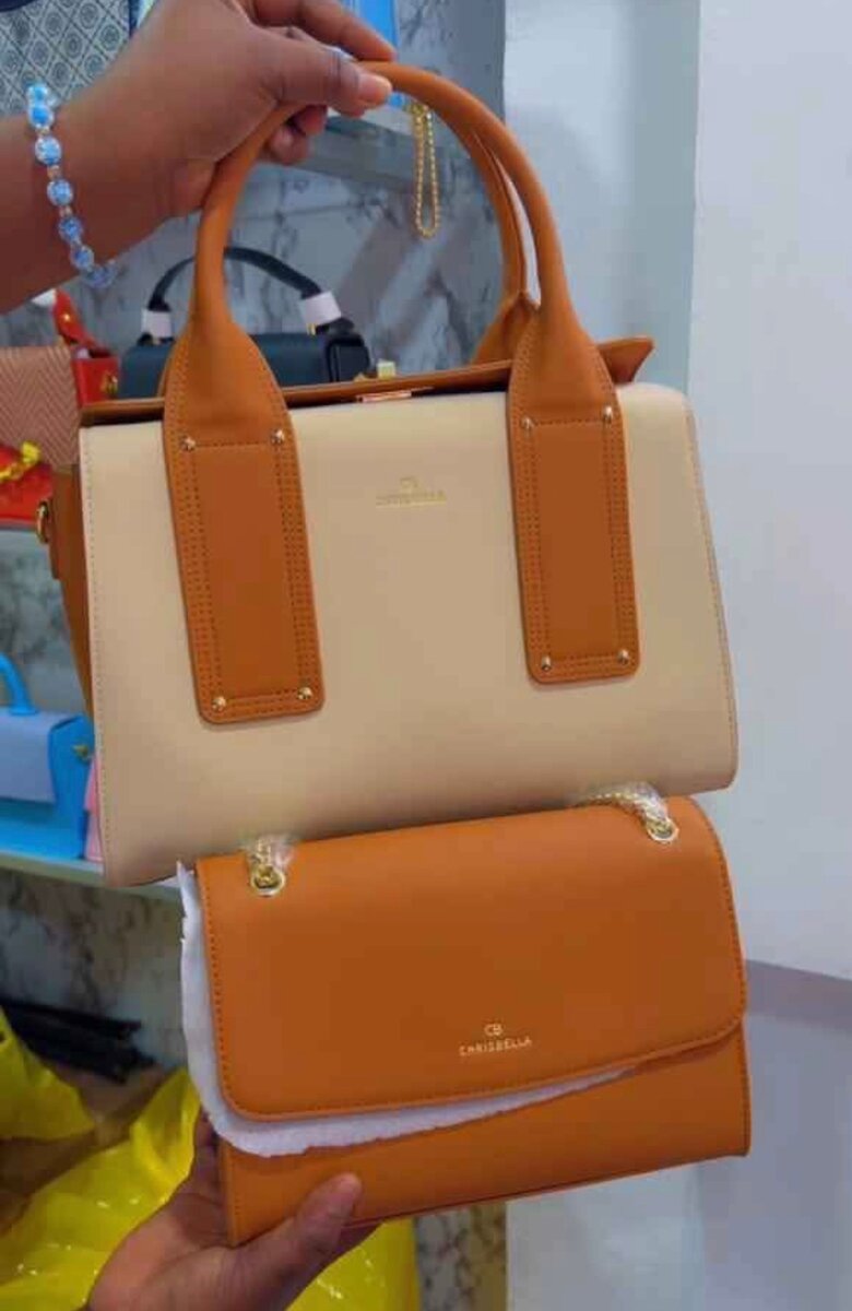 Élégant Set de Sacs à Main