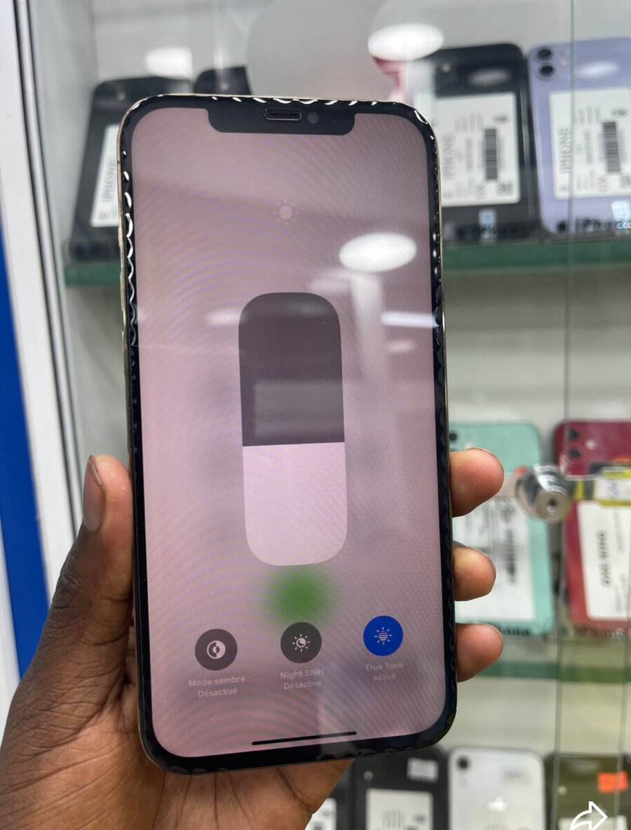 iPhone 12 Pro Max 256 Go