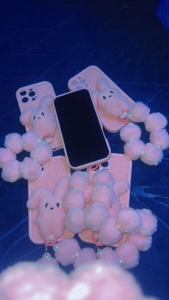 Coque iPhone avec accessoires