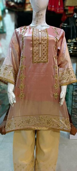 Ladies fancy suit