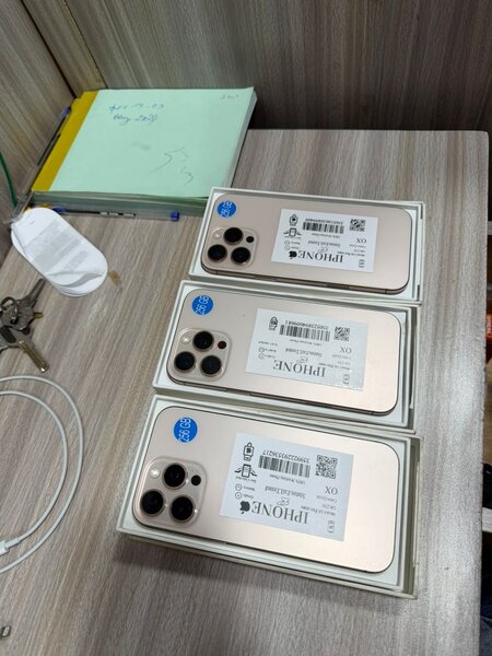 iPhone 12 Pro Max 256 Go