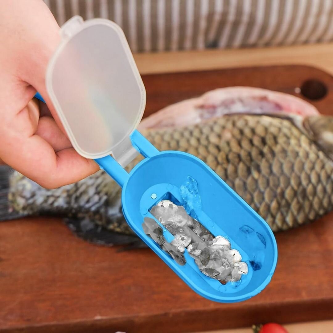 Écailleur de Poisson Multifonction
