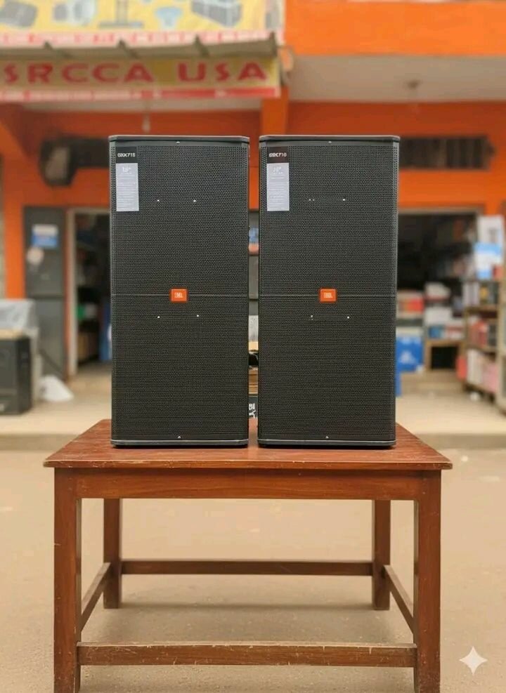 Enceintes de concert 15"