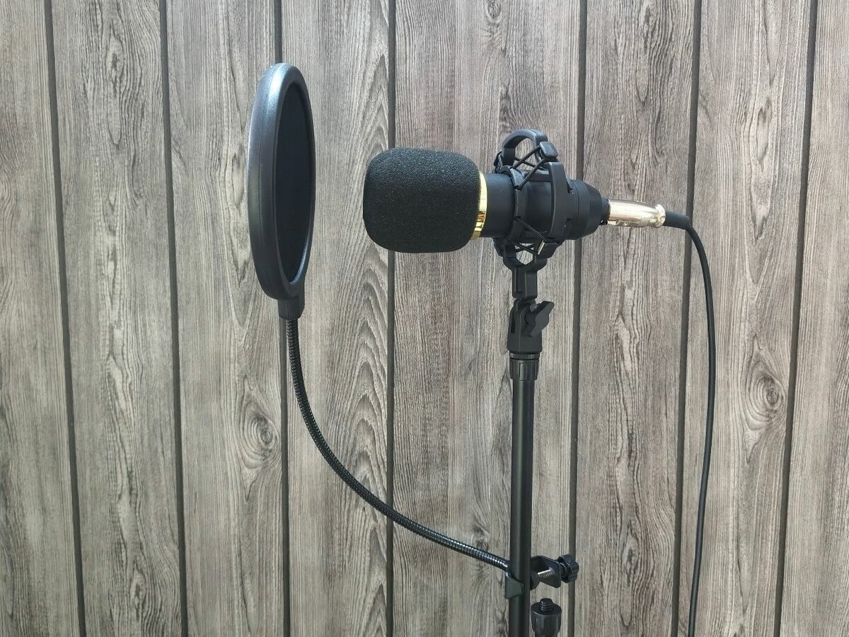 Microphone avec filtre anti-pop