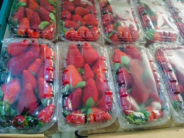 Fraises
