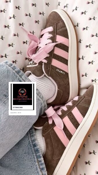 Basket Adidas campus authentiq