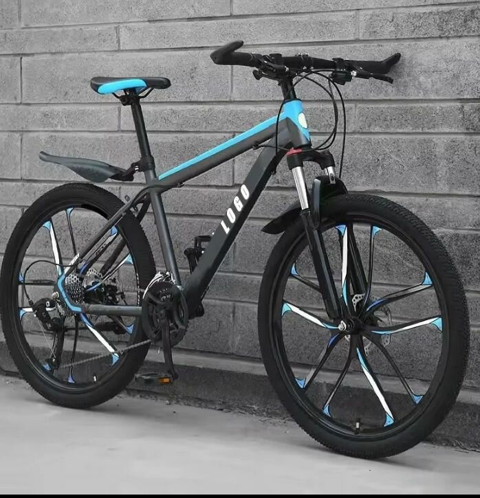 Vélo Tout Terrain Haute Performance