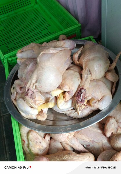 Poulet Frais Entier