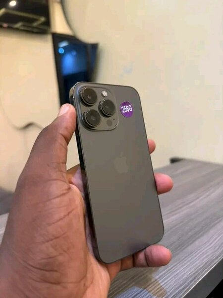 iPhone 14 pro max 256 Go Gris