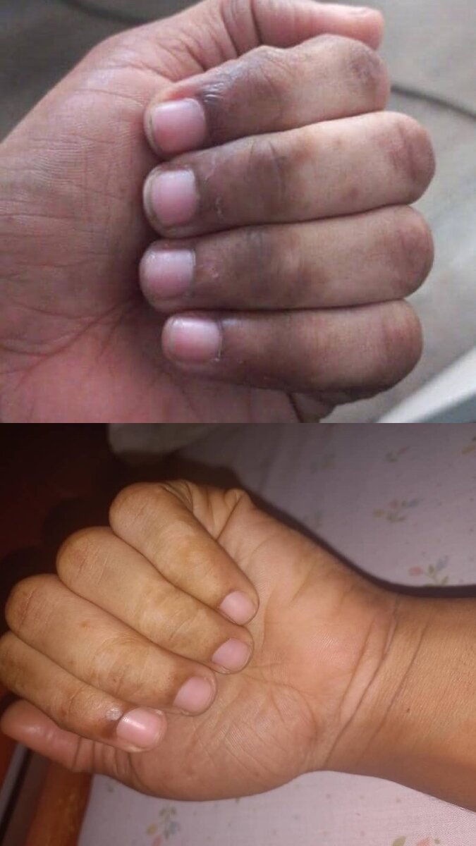 Kit Mami goudron, fards