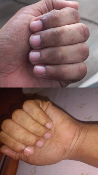 Kit Mami goudron, fards