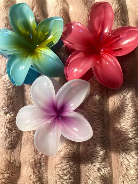 Clips à cheveux fleurs colorées