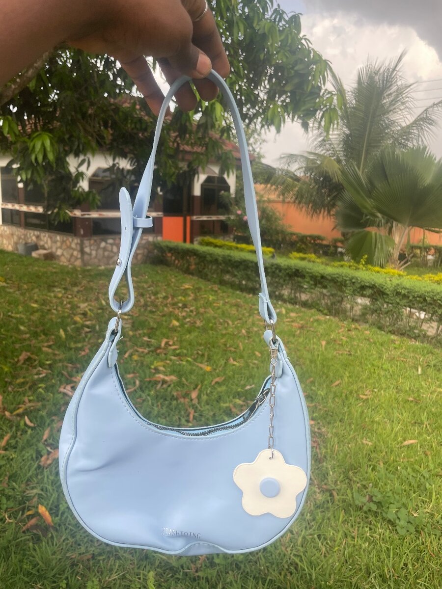 Ladies bag