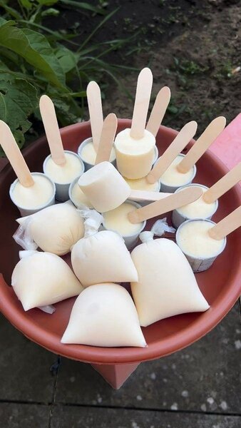 Delicious Glaces Artisanales