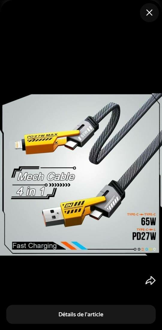 Câble de Charge Rapide 4 en 1