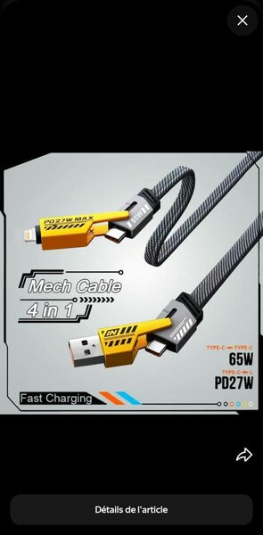 Câble de Charge Rapide 4 en 1