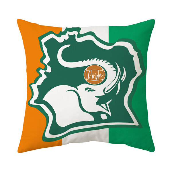 Coussin Côte d'Ivoire