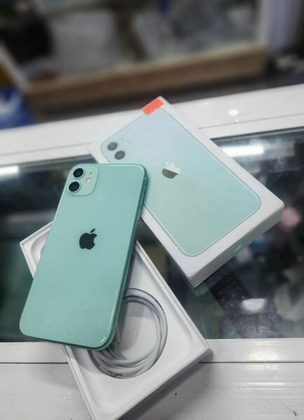 iPhone 11 Vert Neuf