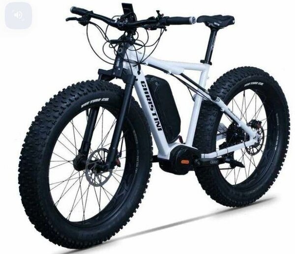 Vélo Électrique Tout-Terrain DARWINI