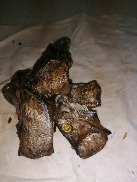 Poisson Fumé Délicieux