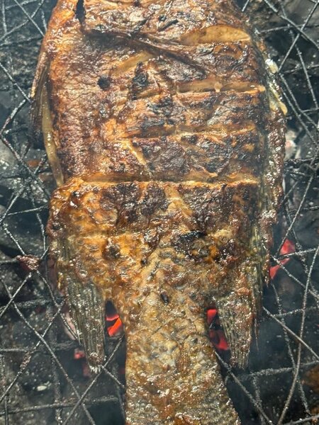 Poisson Grillé Délicieux