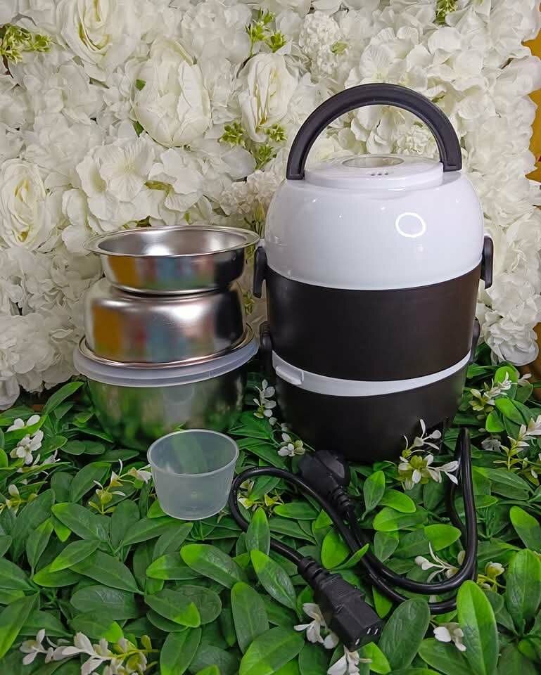 Cuiseur à œufs électrique portable