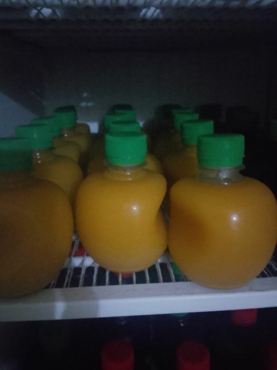 Boissons maison fraîches