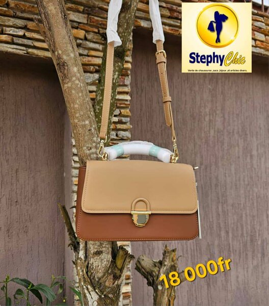 Sac à main élégant femme