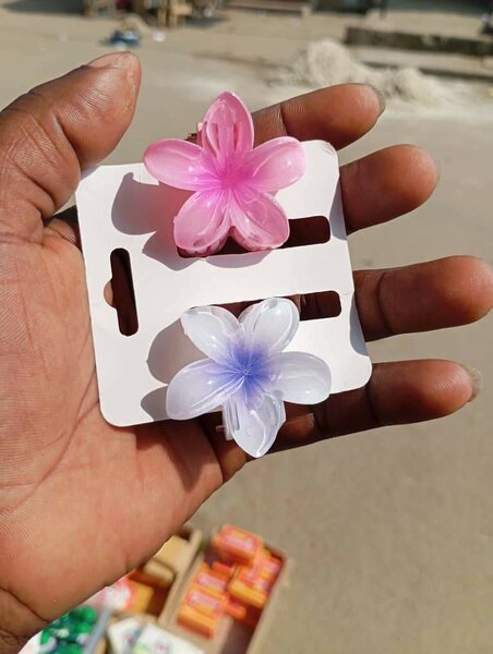 Clips à fleurs colorées