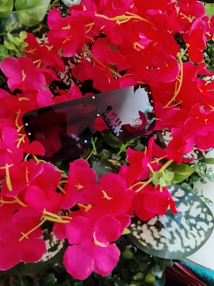 Lunettes de soleil élégantes