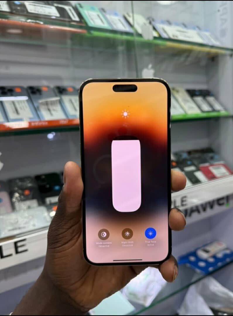 iPhone 14 Pro Max 256 Go