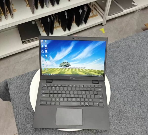 Ordinateur Portable Dell Professionnel