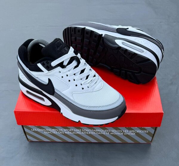 Nike Air Max Sneakers