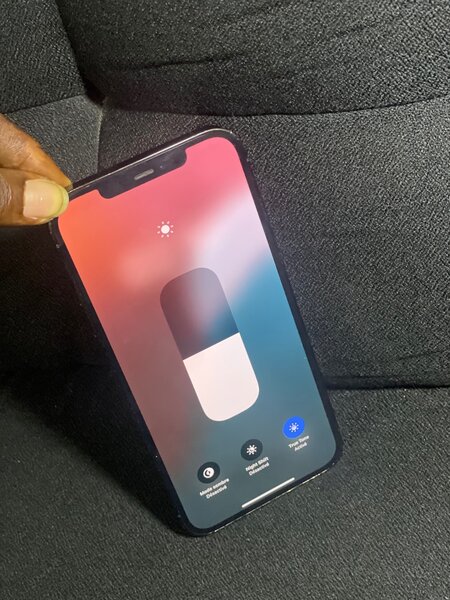 iPhone 12 Pro Max Bleu