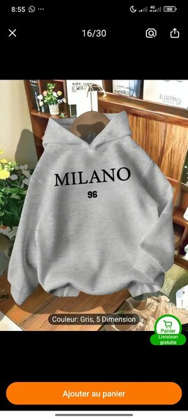 Sweat à Capuche Milano Gris