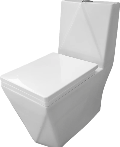 Ceramic complete Diamond toilet seat-top flush( Hoz 37)