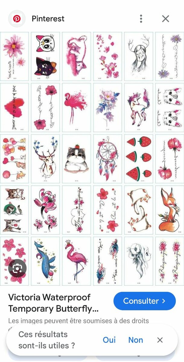 Tatouages Temporaires Art Créatif