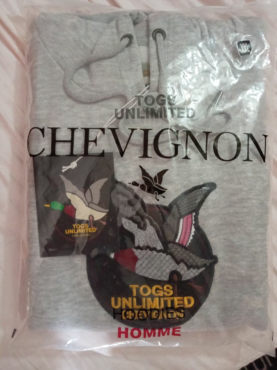 Sweat-shirt à capuche gris